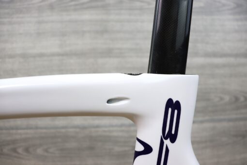 PINARELLO DOGMA F8 ”LA VENTISSIMA” 550サイズ | cicli17