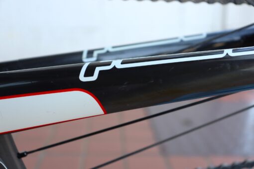 FOCUS CAYO フォーカス カヨ サイズXS | cicli17